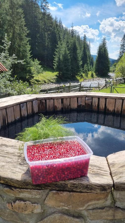Крайня Хата Hotel Synevyrsʼka Polyana Екстериор снимка