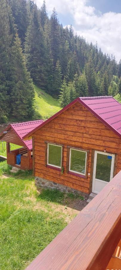 Крайня Хата Hotel Synevyrsʼka Polyana Екстериор снимка